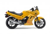 2006 Kawasaki Ninja 250 R photo